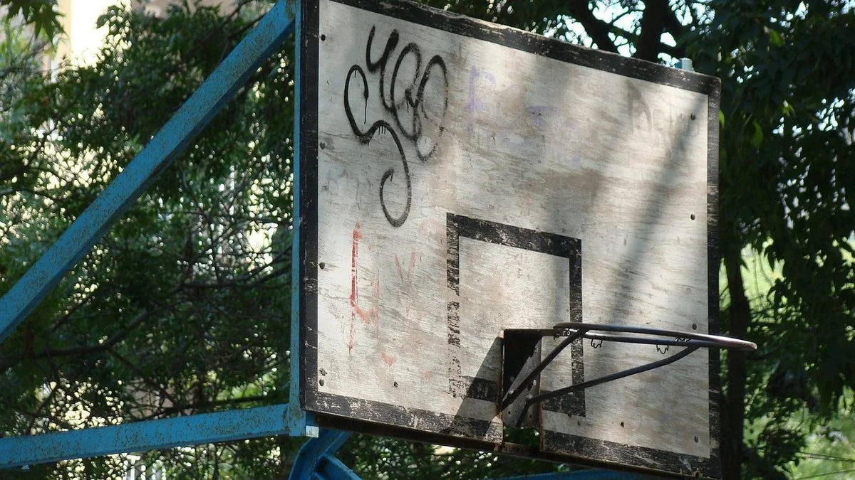 WNBA奖项追踪：威尔逊进攻效率与终结质量解析